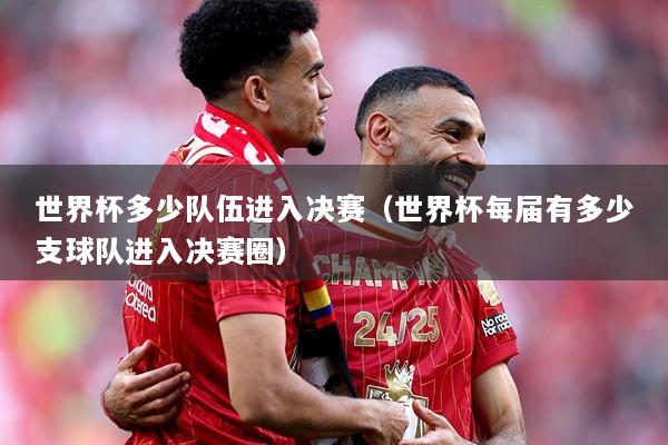 世界杯多少队伍进入决赛（世界杯每届有多少支球队进入决赛圈）