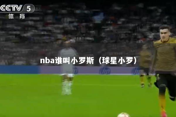 nba谁叫小罗斯（球星小罗）