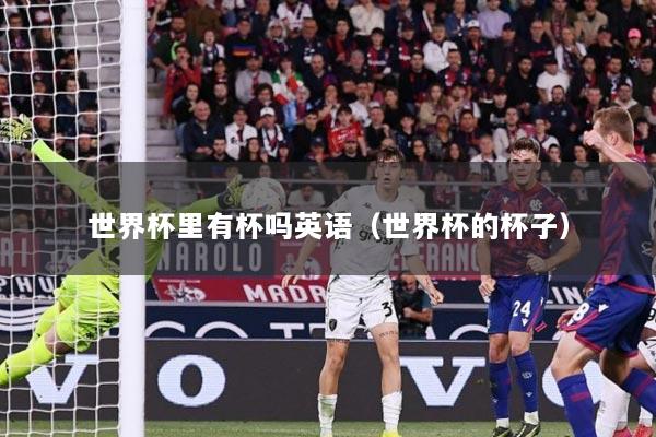 世界杯里有杯吗英语（世界杯的杯子）