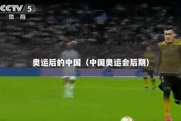 奥运后的中国（中国奥运会后期）